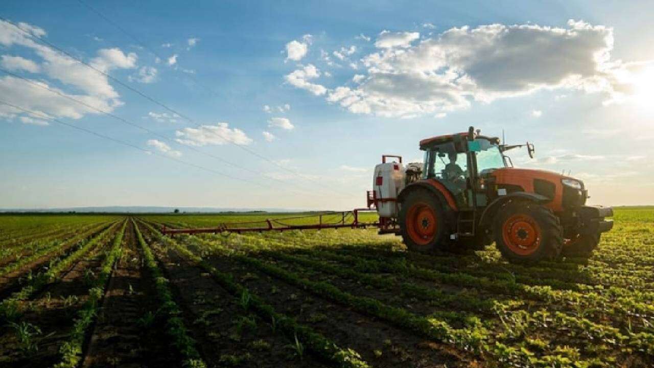 Dünya buğday ticaretinde yüzde 1’den fazla paya sahipti: Türkiye'nin tarım devi resmen iflas etti 7